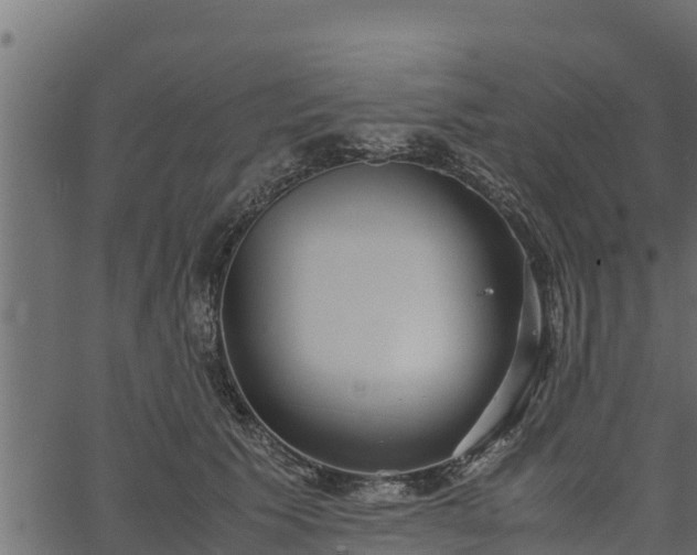 X0000066940609200603311419