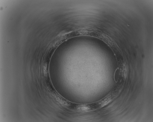 X0000066940610200603311419