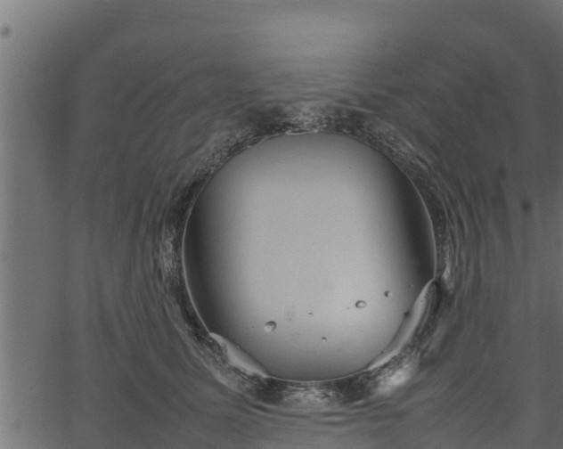 X0000066940611200603311419