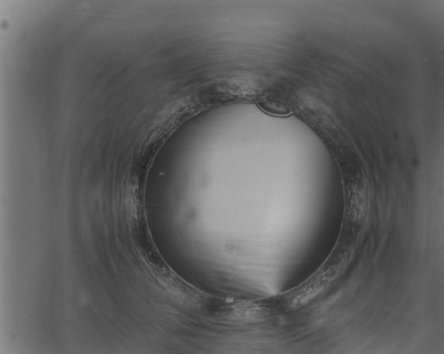 X0000066940612200603311419