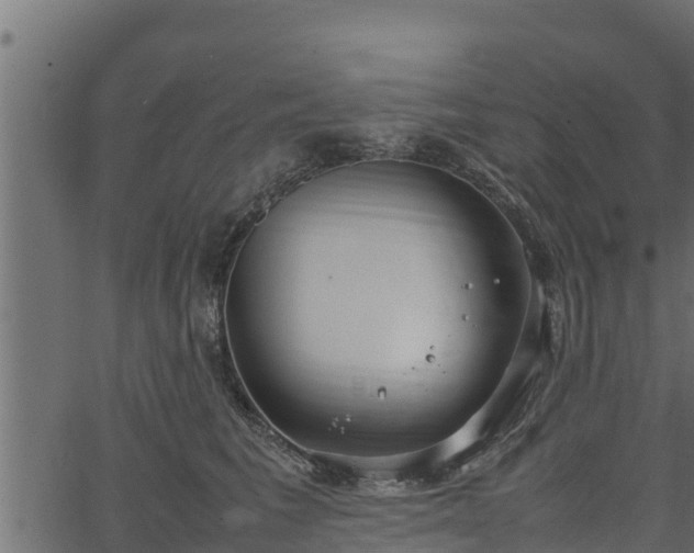 X0000066940613200603311419