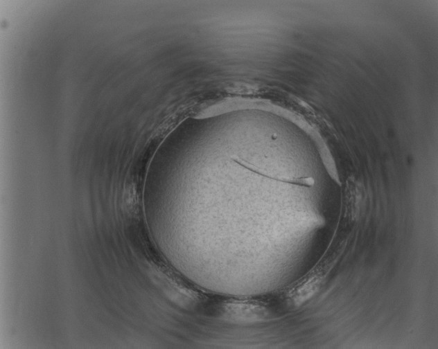 X0000066940614200603311419