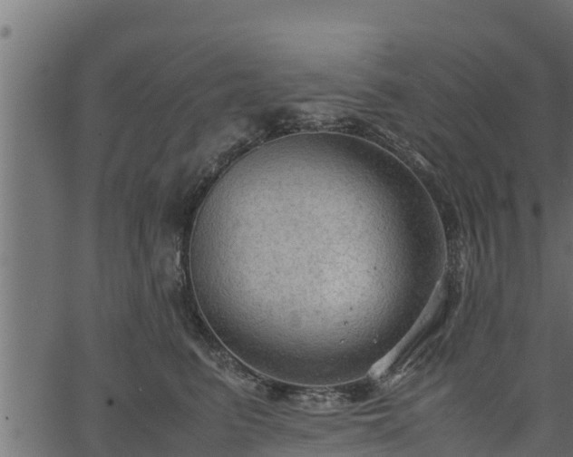 X0000066940615200603311419