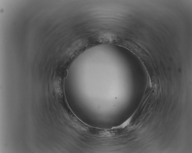 X0000066940616200603311419