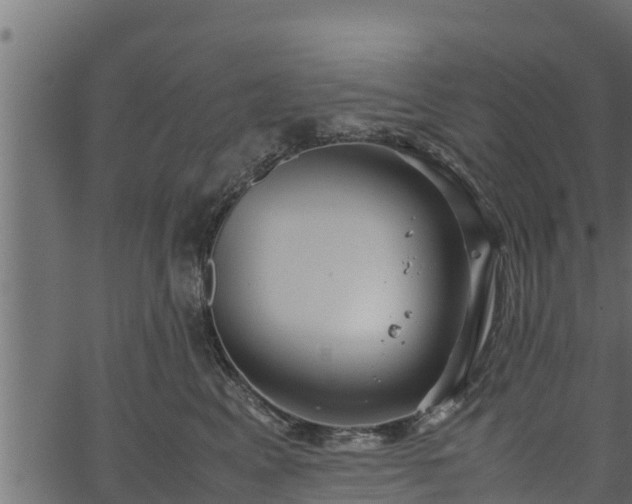 X0000066940617200603311419