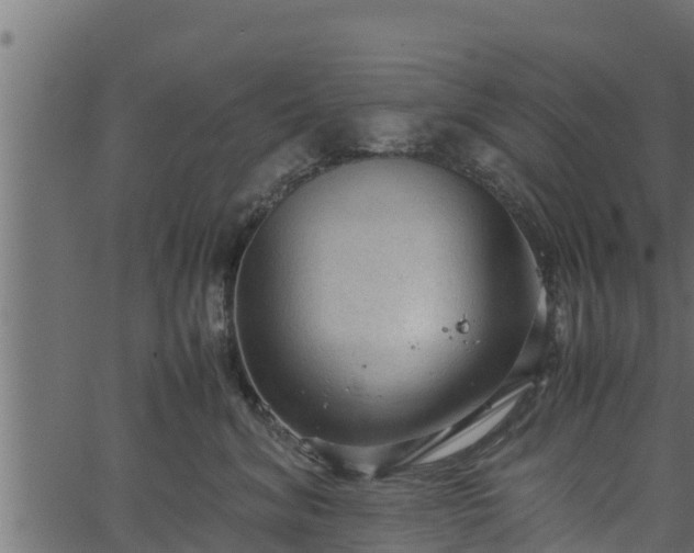 X0000066940620200603311419