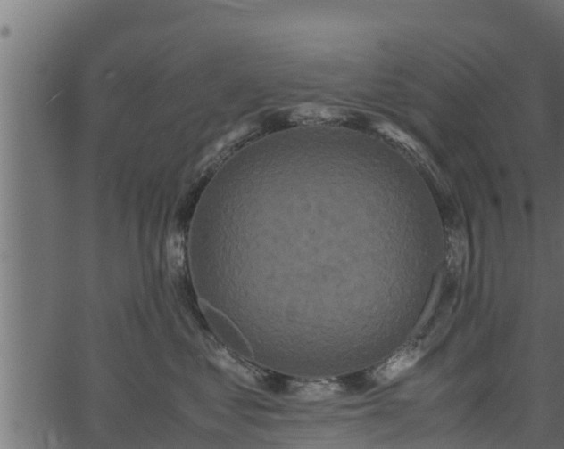 X0000066940621200603311419