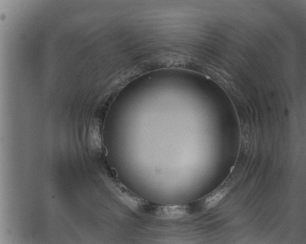 X0000066940622200603311419