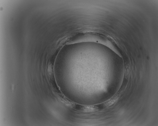 X0000066940623200603311418