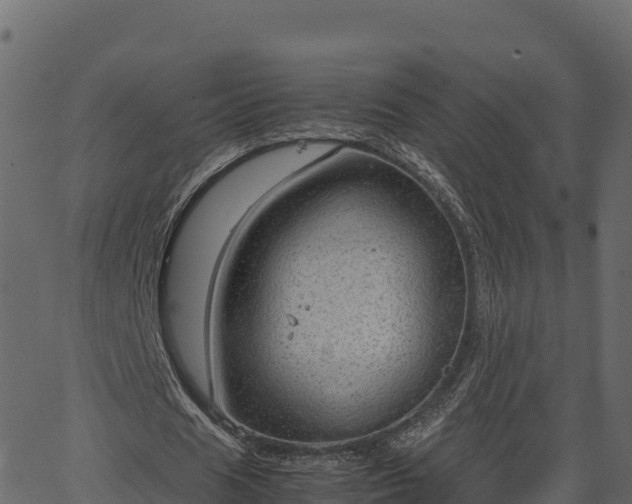 X0000066940625200603311418