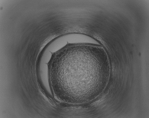 X0000066940626200603311418