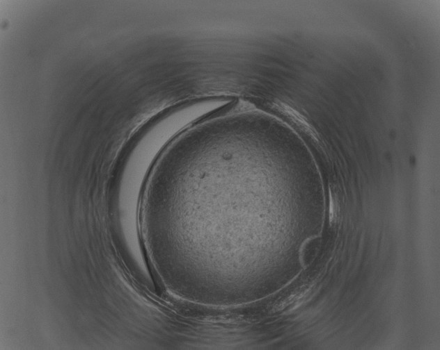 X0000066940627200603311418