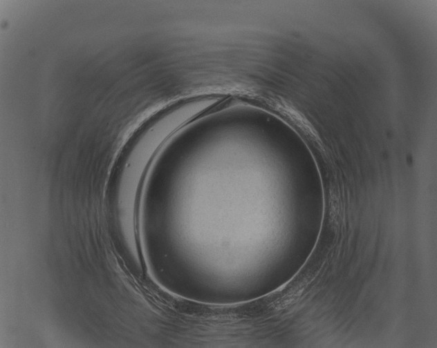 X0000066940628200603311418