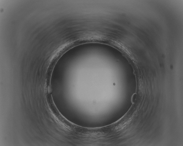 X0000066940629200603311418