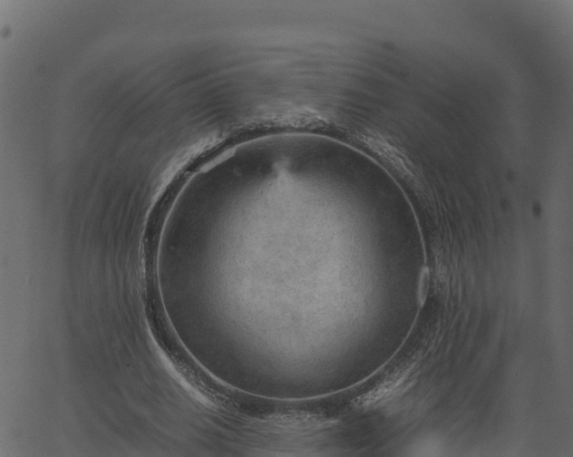 X0000066940630200603311418