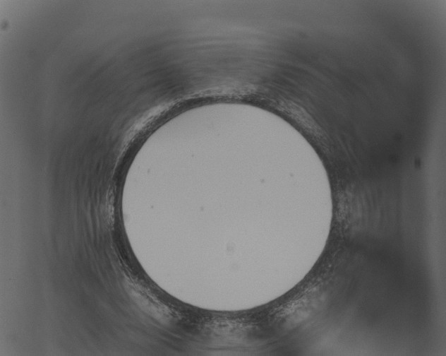 X0000066940632200603311418