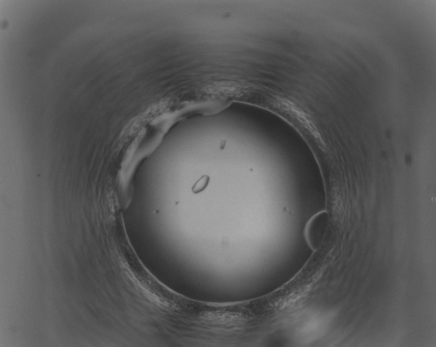 X0000066940633200603311418