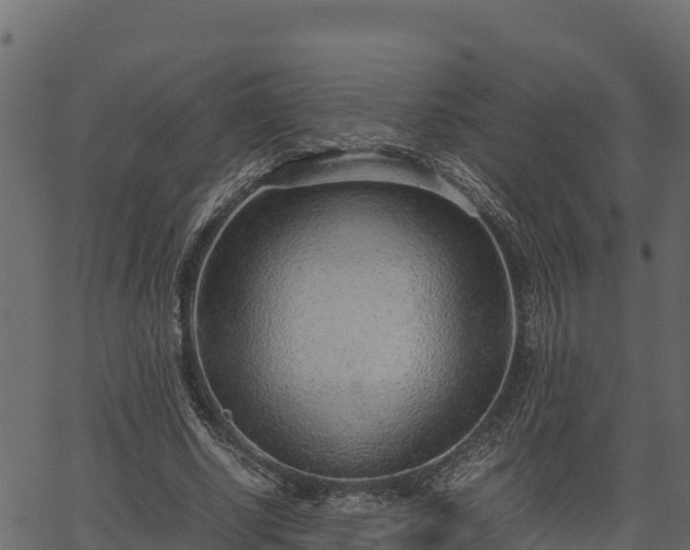 X0000066940634200603311418