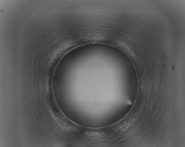 X0000066940635200603311418