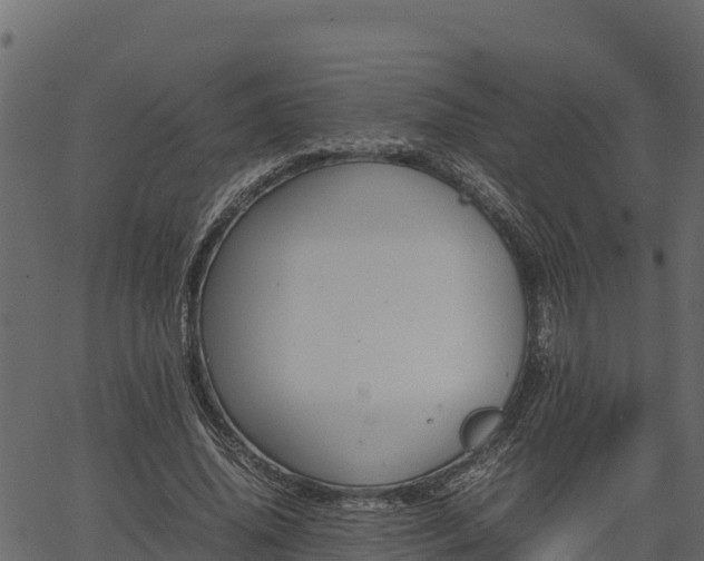 X0000066940636200603311418