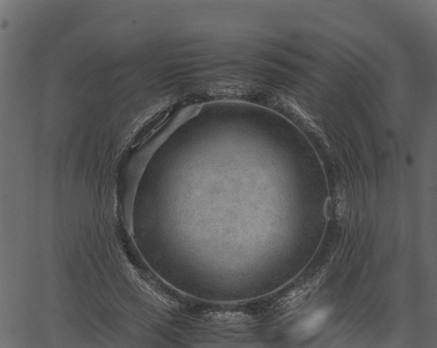 X0000066940637200603311418