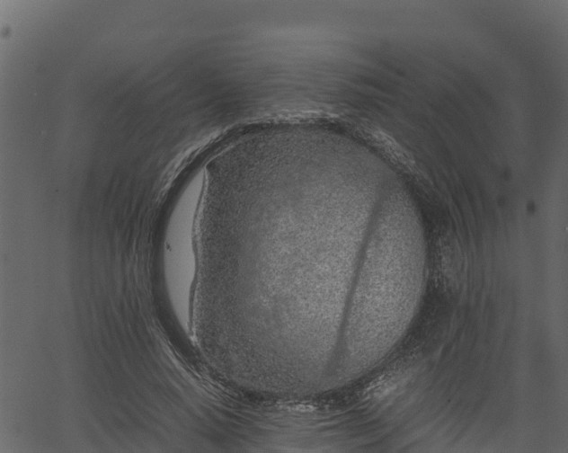 X0000066940640200603311418