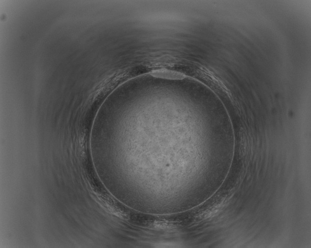 X0000066940641200603311418