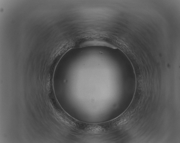 X0000066940642200603311418