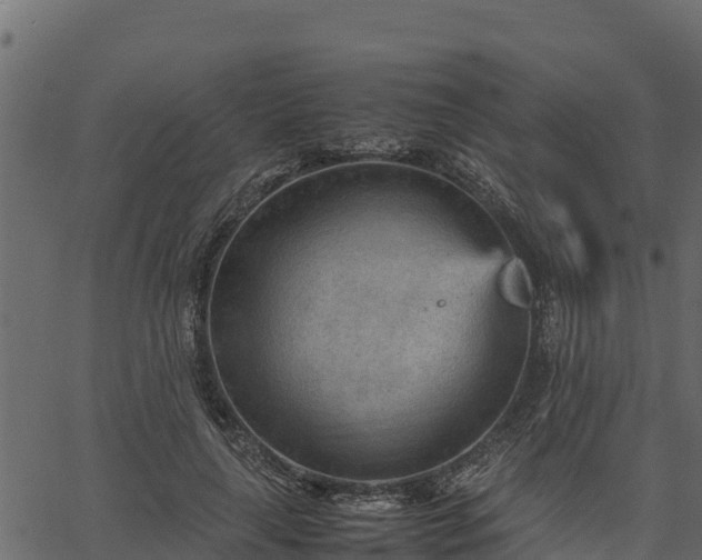 X0000066940643200603311418