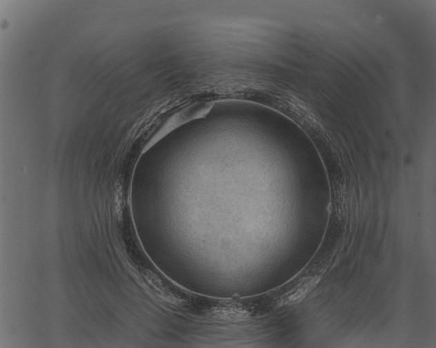 X0000066940644200603311418