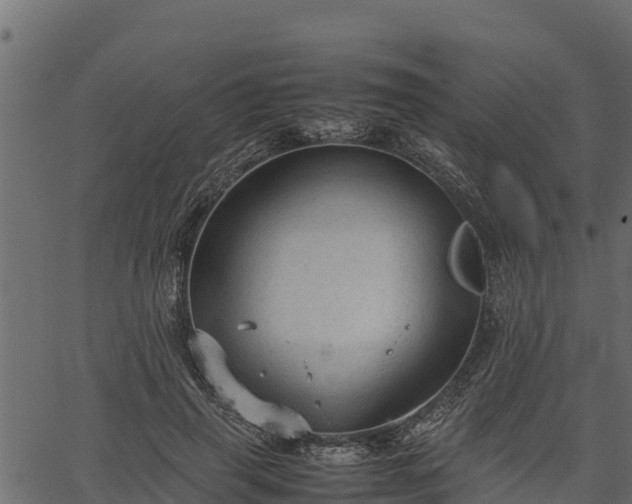 X0000066940645200603311418