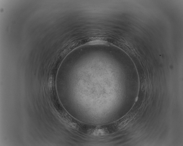 X0000066940647200603311418