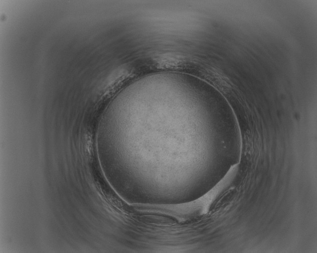 X0000066940648200603311418