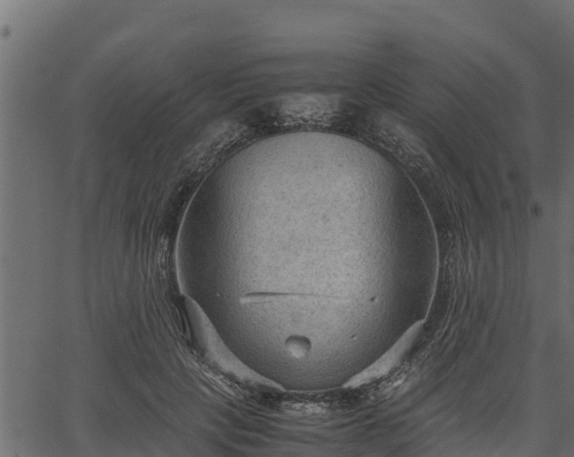 X0000066940649200603311418