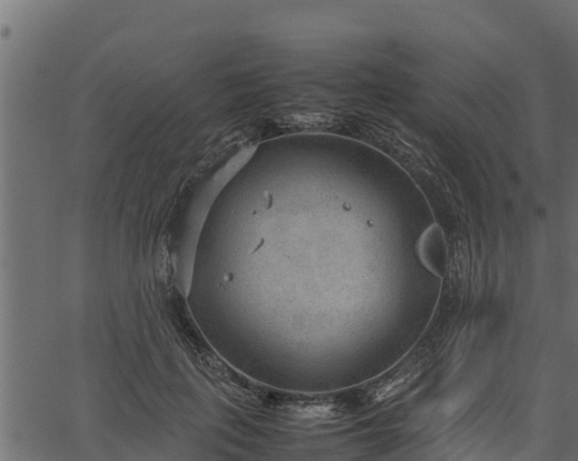 X0000066940651200603311418