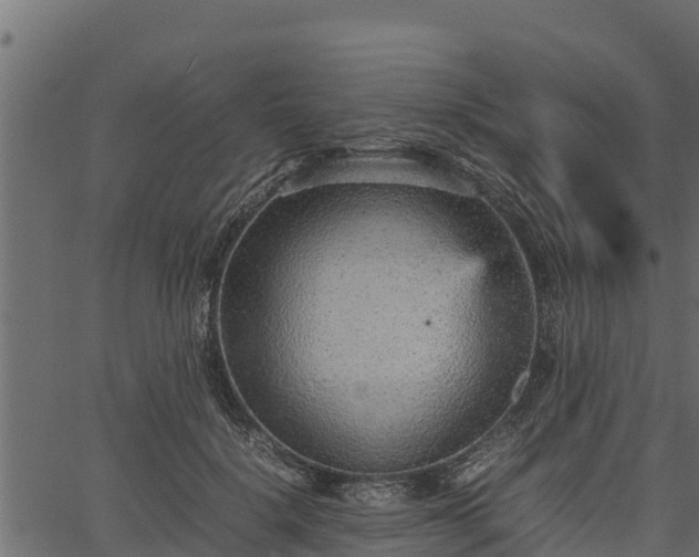 X0000066940652200603311418