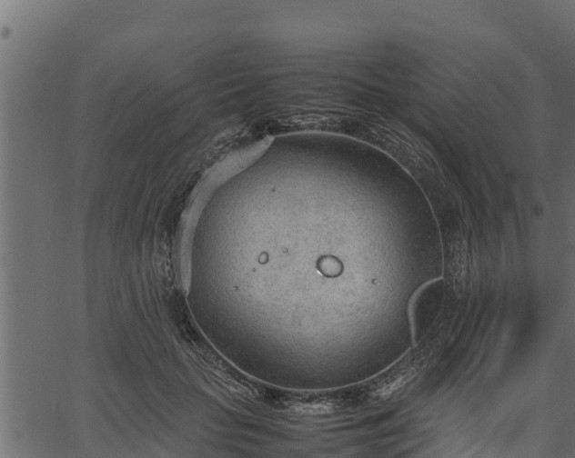 X0000066940653200603311418