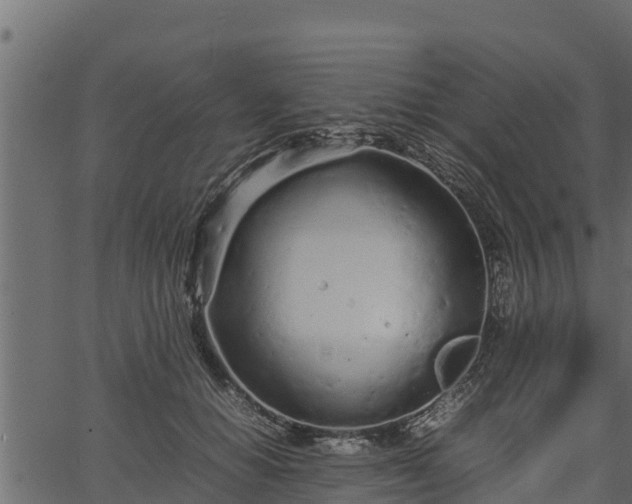 X0000066940654200603311418