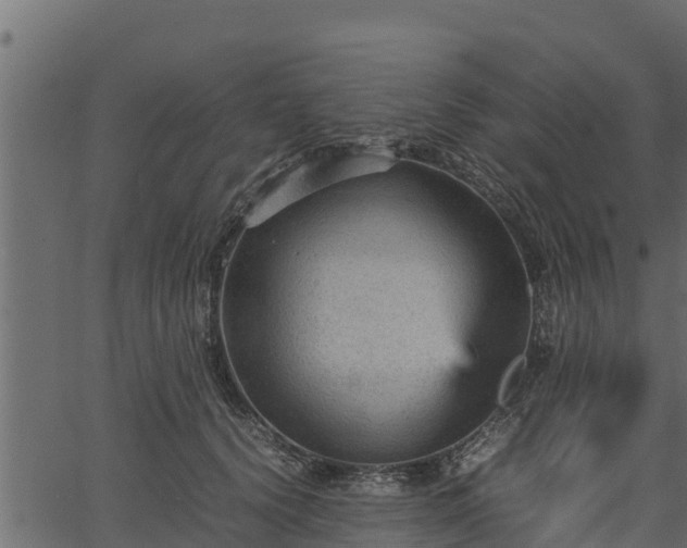 X0000066940656200603311418