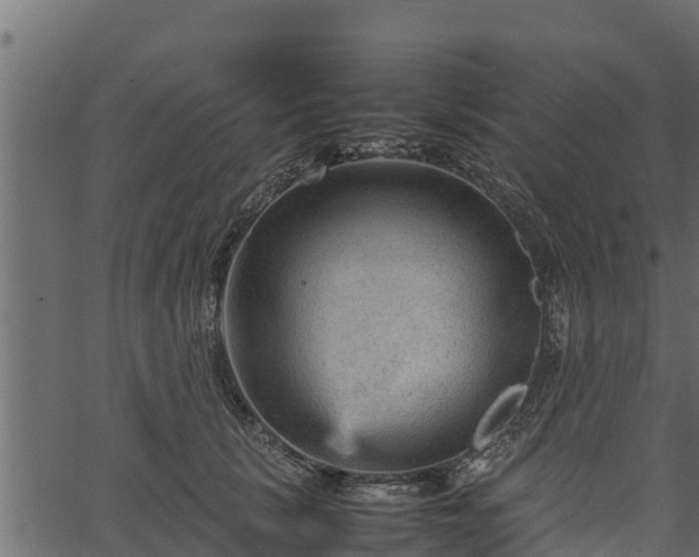 X0000066940657200603311418