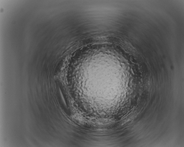 X0000066940658200603311418