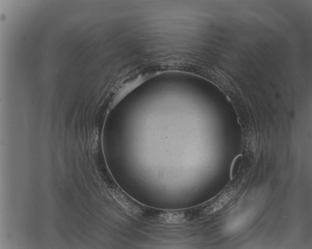 X0000066940660200603311418