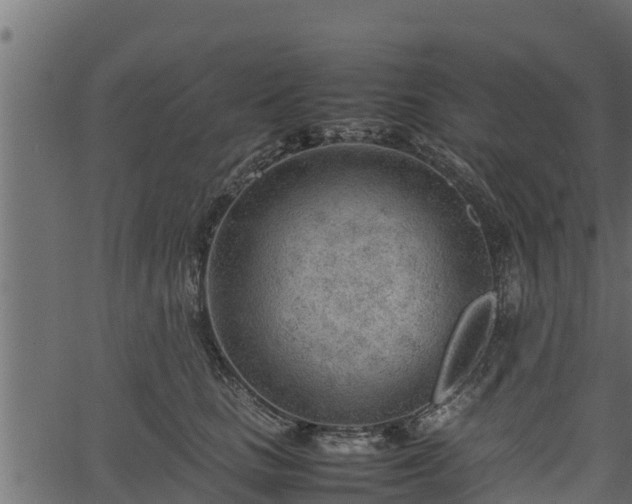 X0000066940661200603311418