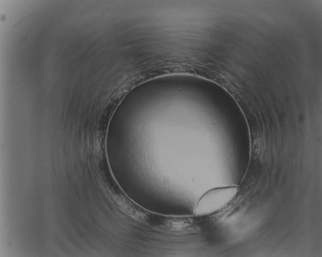 X0000066940662200603311418