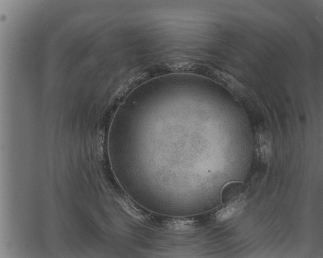 X0000066940664200603311418