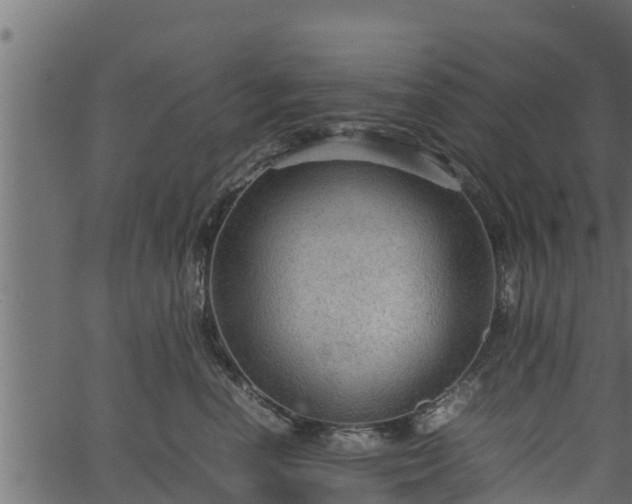 X0000066940666200603311418