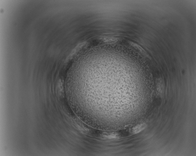 X0000066940667200603311418