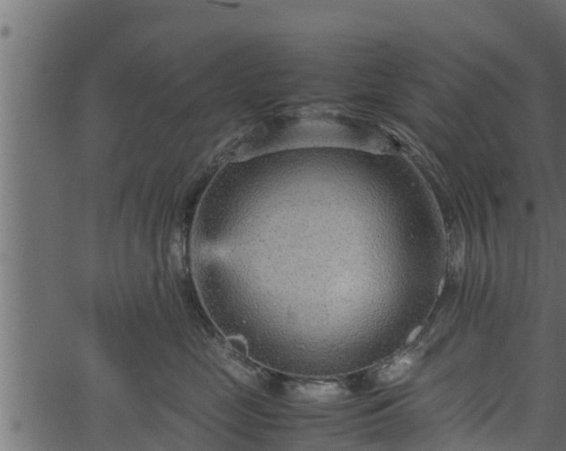 X0000066940669200603311418