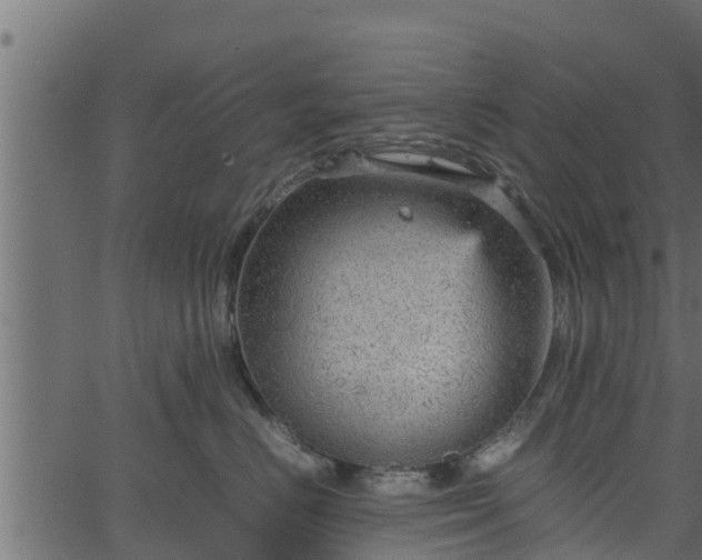 X0000066940670200603311418