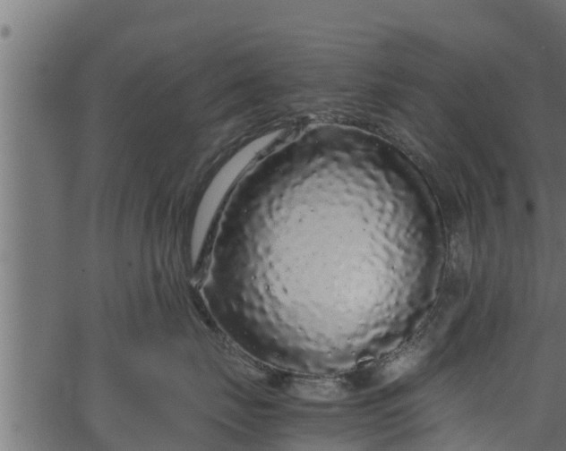 X0000066940671200603311418